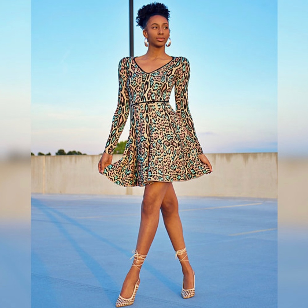 XSMALL Multicolored Cheetah Print Dress
